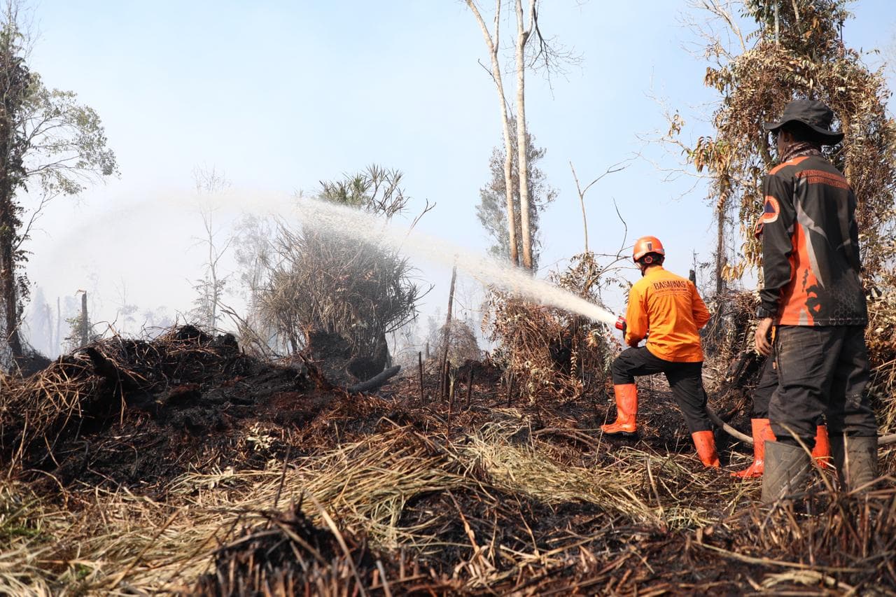 Langkah Taktis Pemerintah Jambi: Penguatan Sekat Bakar dan Pendinginan Atasi Kebakaran Hutan